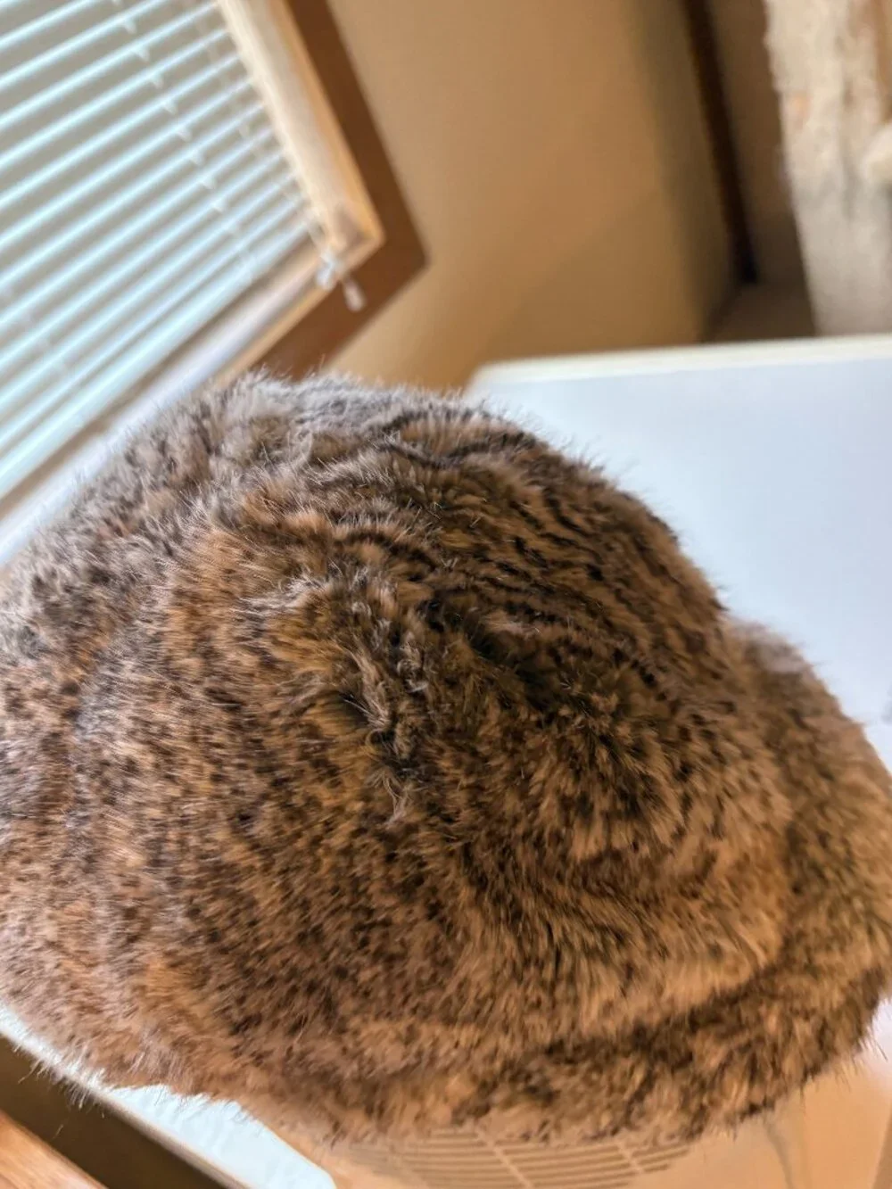 Women's gracehats Brand Minx hat